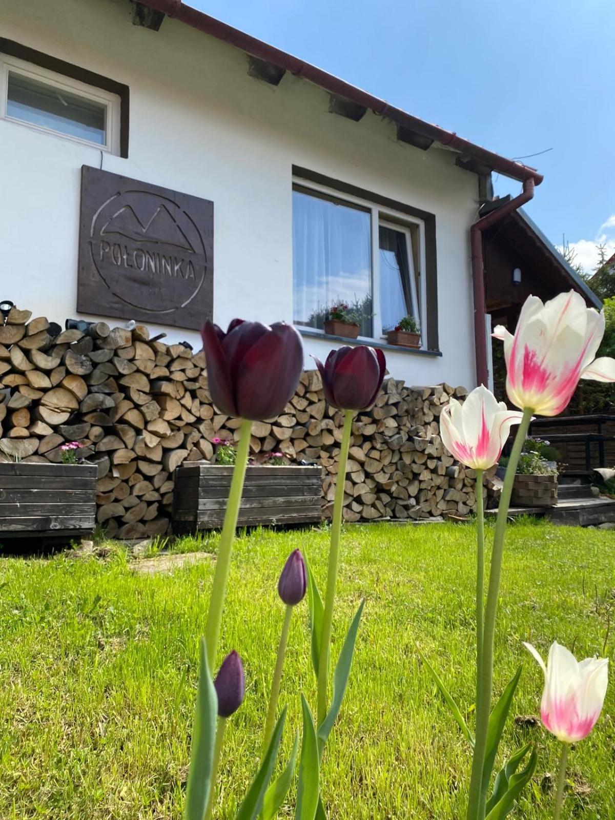 Poloninka Pokoje Ustrzyki Górne Exterior foto